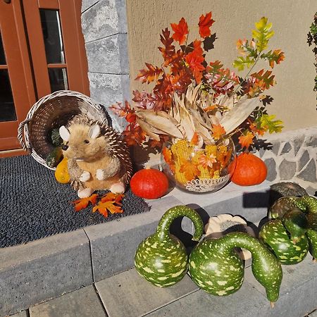 Sepsi Relax Hotel Sfântu-Gheorghe Екстериор снимка