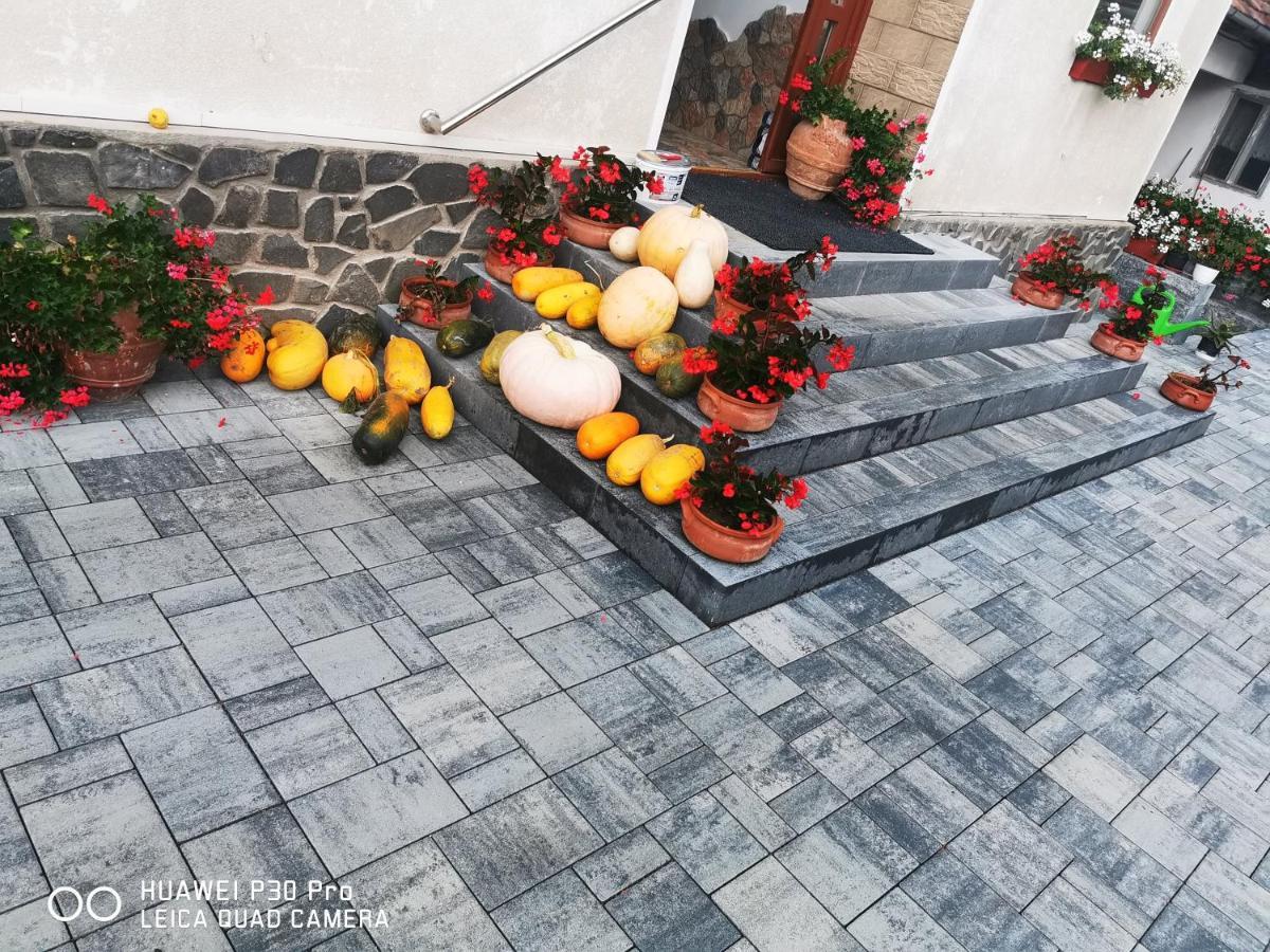 Sepsi Relax Hotel Sfântu-Gheorghe Екстериор снимка
