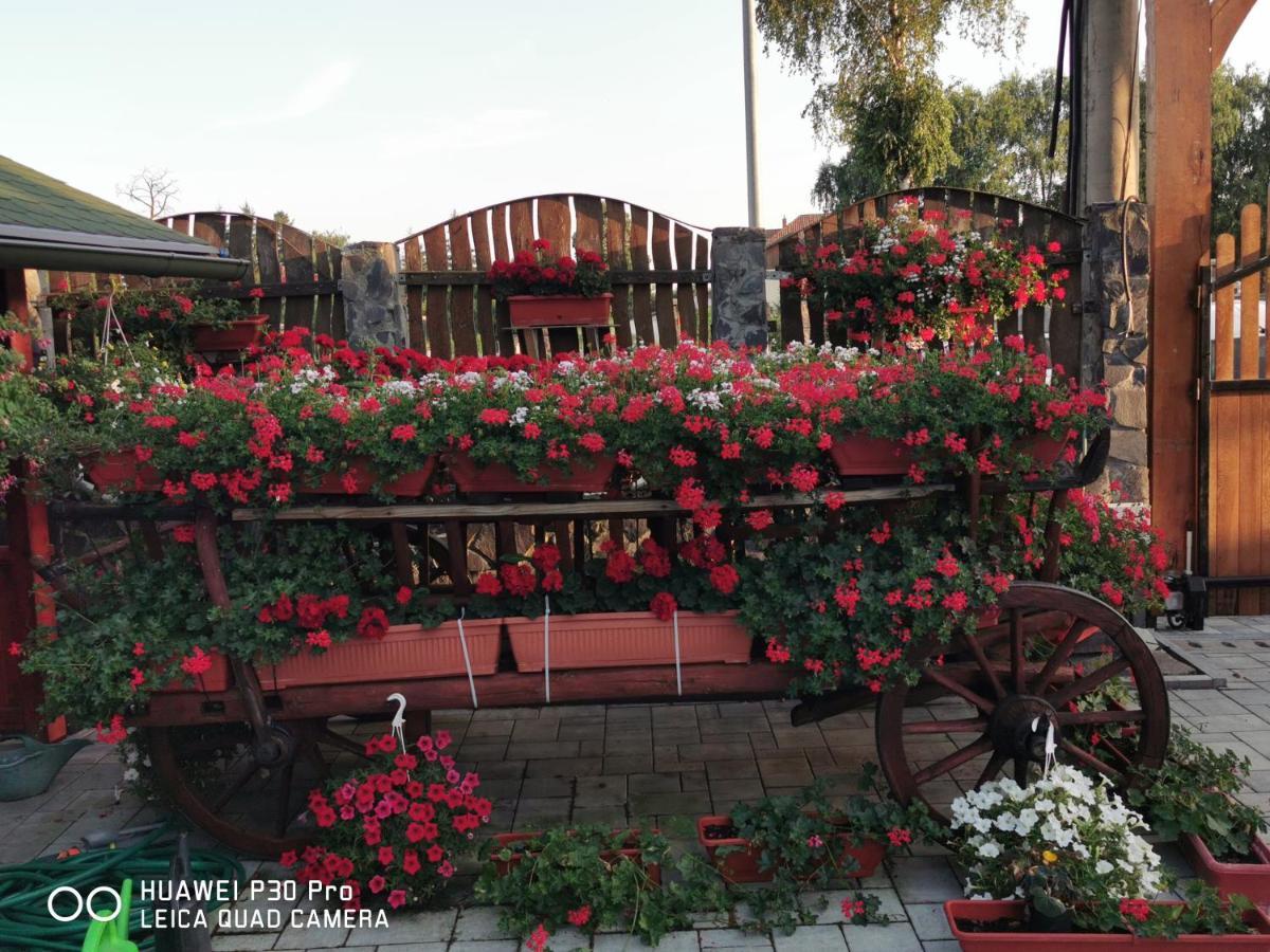 Sepsi Relax Hotel Sfântu-Gheorghe Екстериор снимка