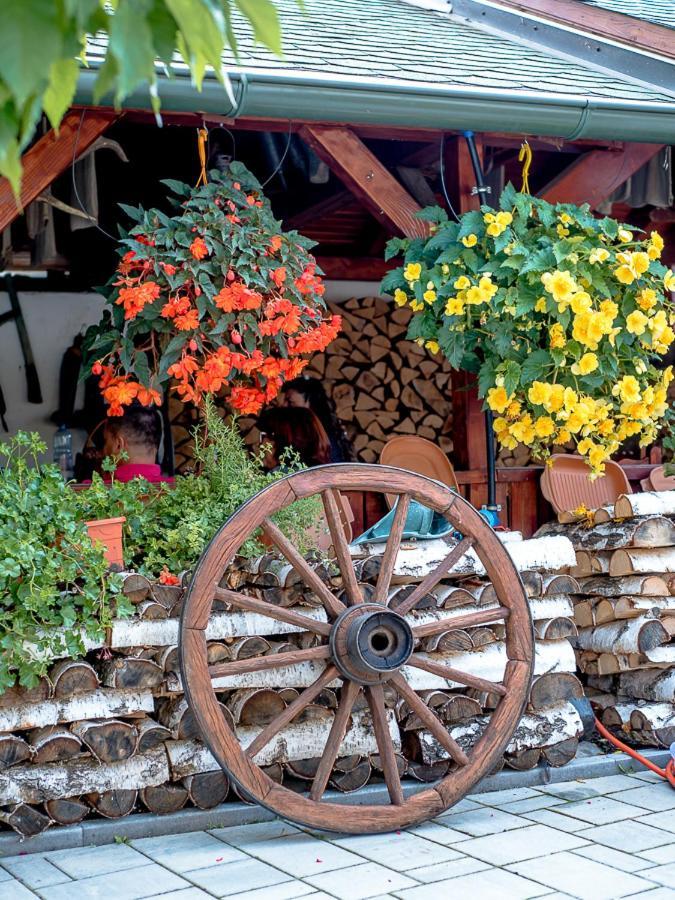 Sepsi Relax Hotel Sfântu-Gheorghe Екстериор снимка