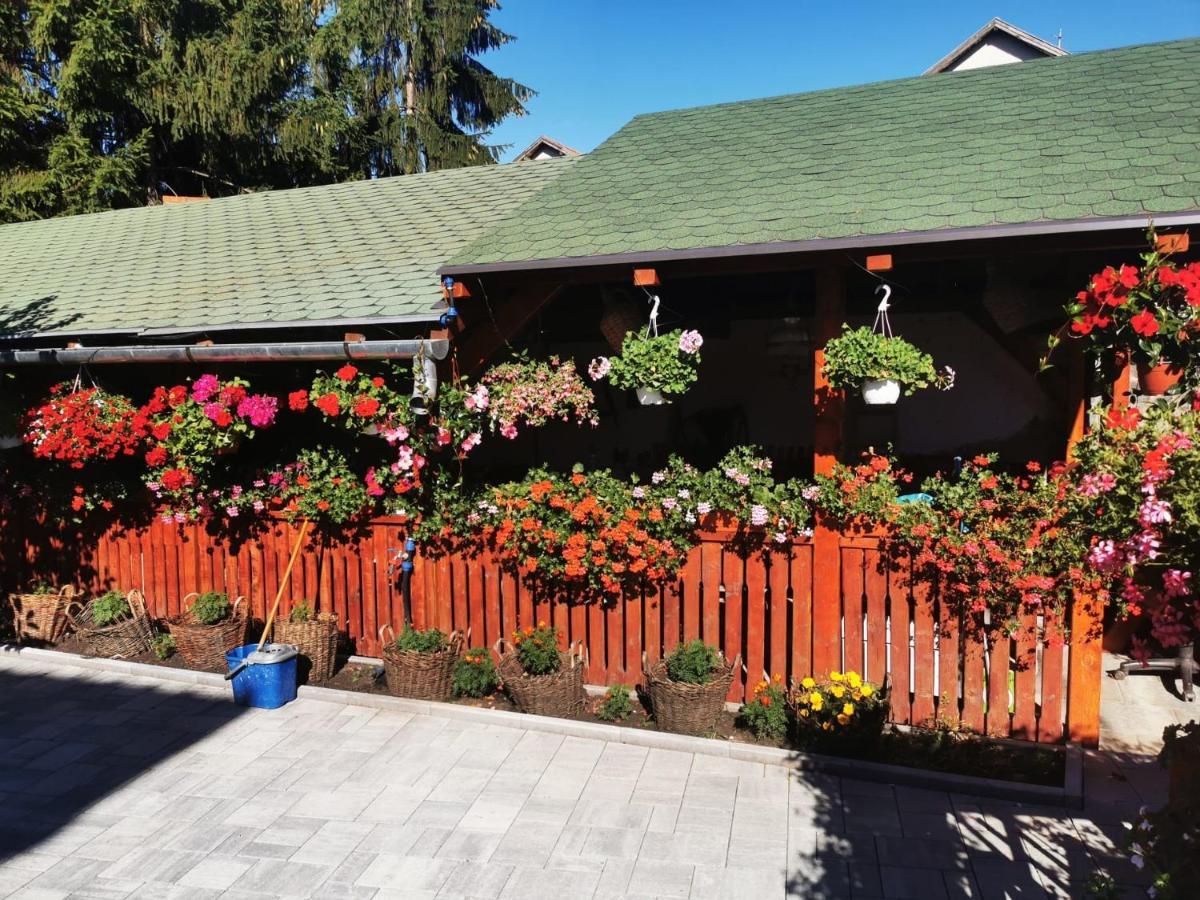 Sepsi Relax Hotel Sfântu-Gheorghe Екстериор снимка