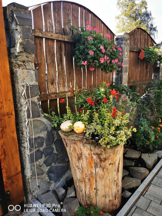 Sepsi Relax Hotel Sfântu-Gheorghe Екстериор снимка